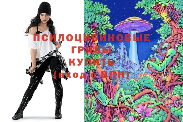 прущий лед Белоозёрский