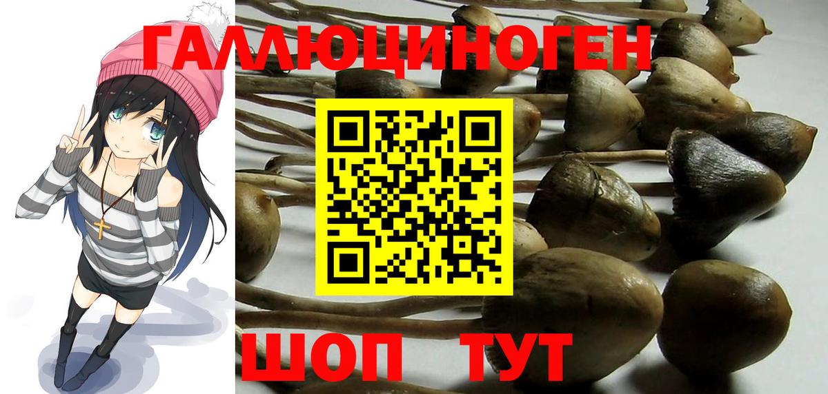 Галлюциногенные грибы Magic Shrooms  Галлюциногенные грибы ЛСД  Острогожск  Вход с VPN 