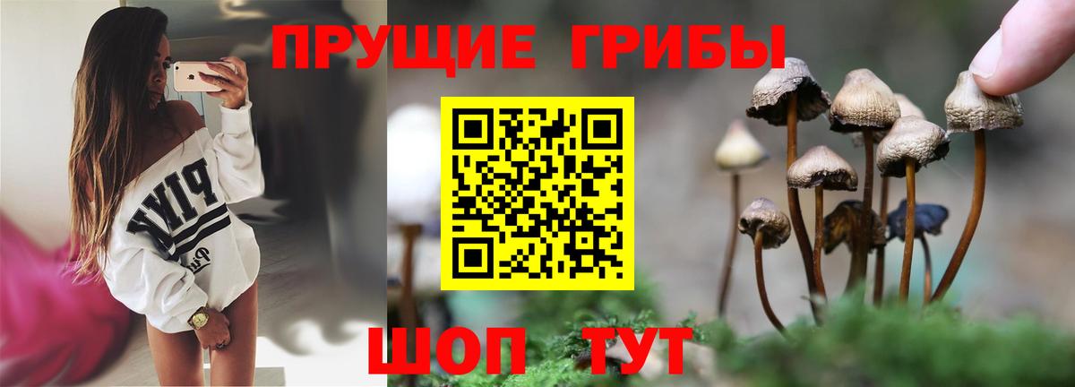 Галлюциногенные грибы Magic Shrooms Острогожск